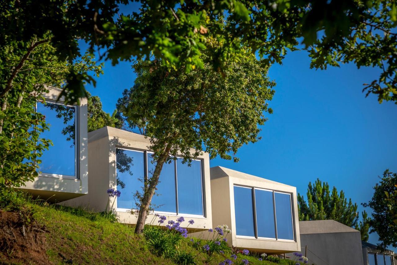 Amare Country House Caminha Exterior photo